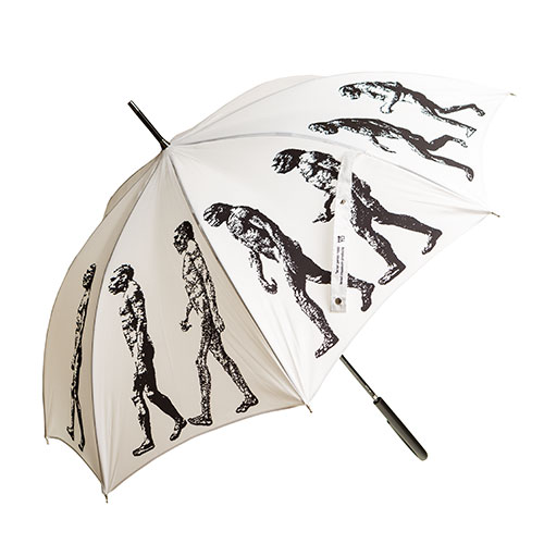 Umbrella With March Of Progress Design (white)