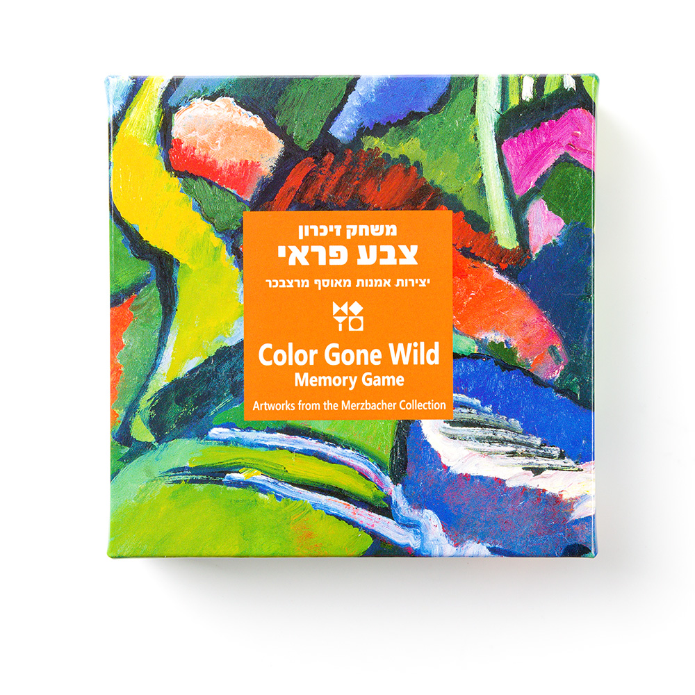 Color Gone Wild Memory Game