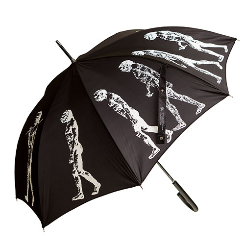 Umbrella with March of Progress design (black)