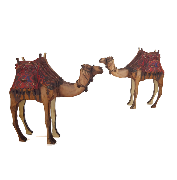 3D Puzzle –Desert Camel – colored